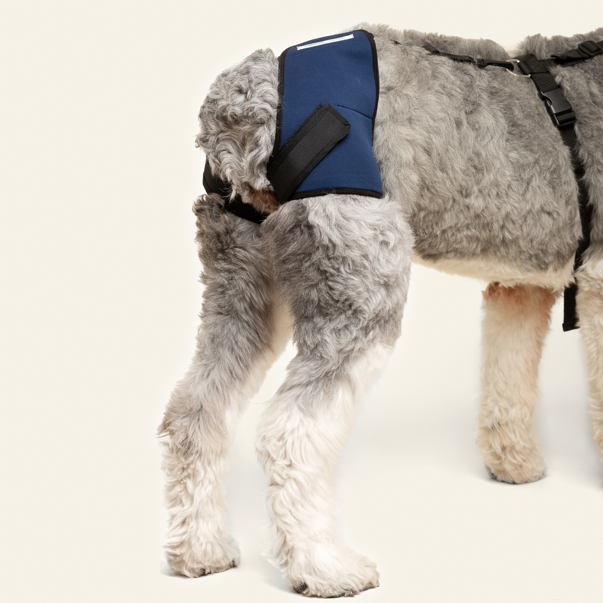 2023_Soporte de Cadera_05