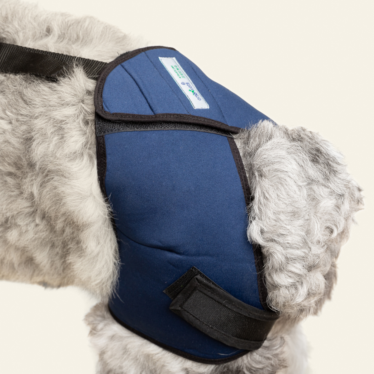 2023_Soporte de Cadera_06