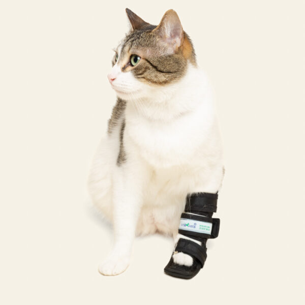 Férula Moldeable Gato
