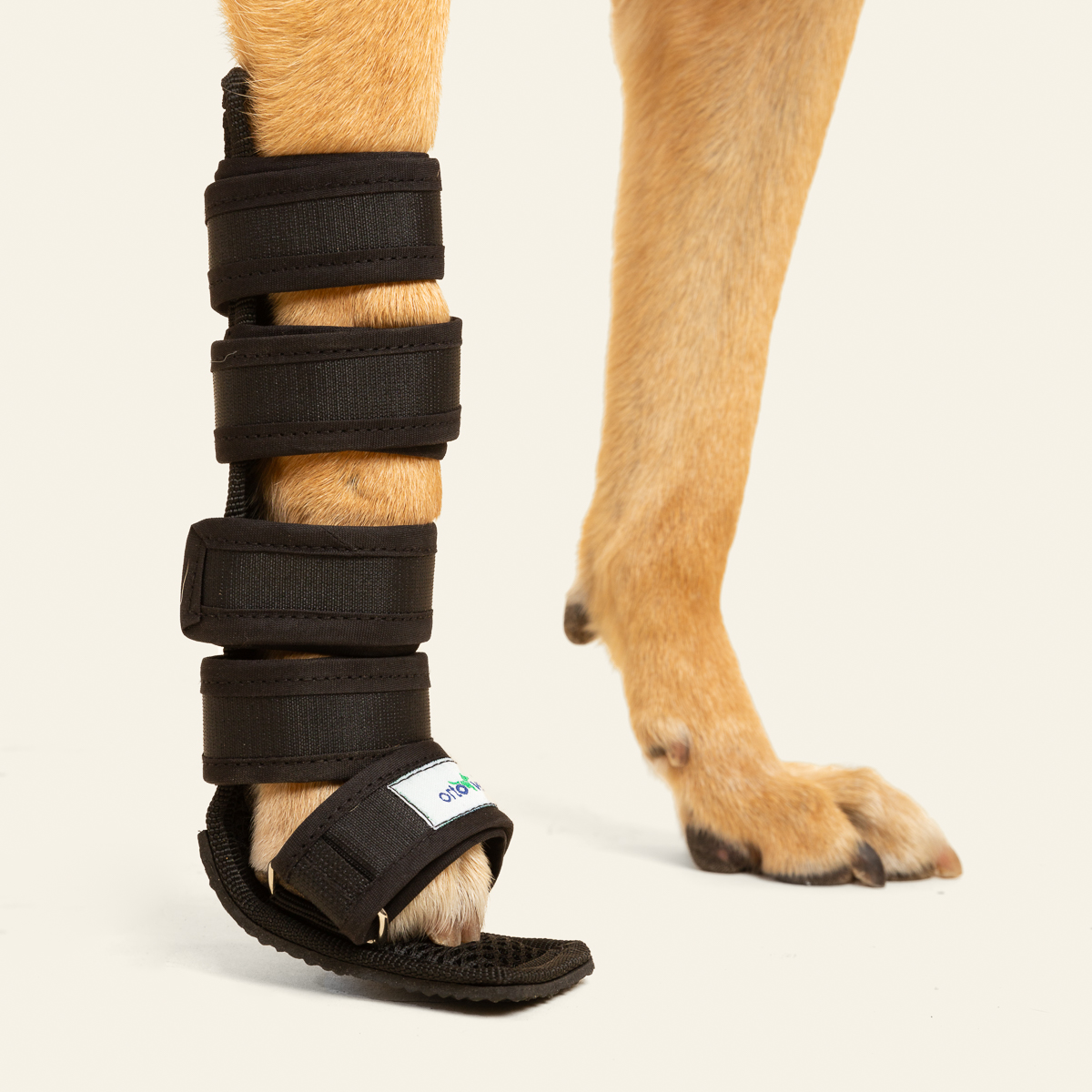 2023_Ferula Moldeable_06