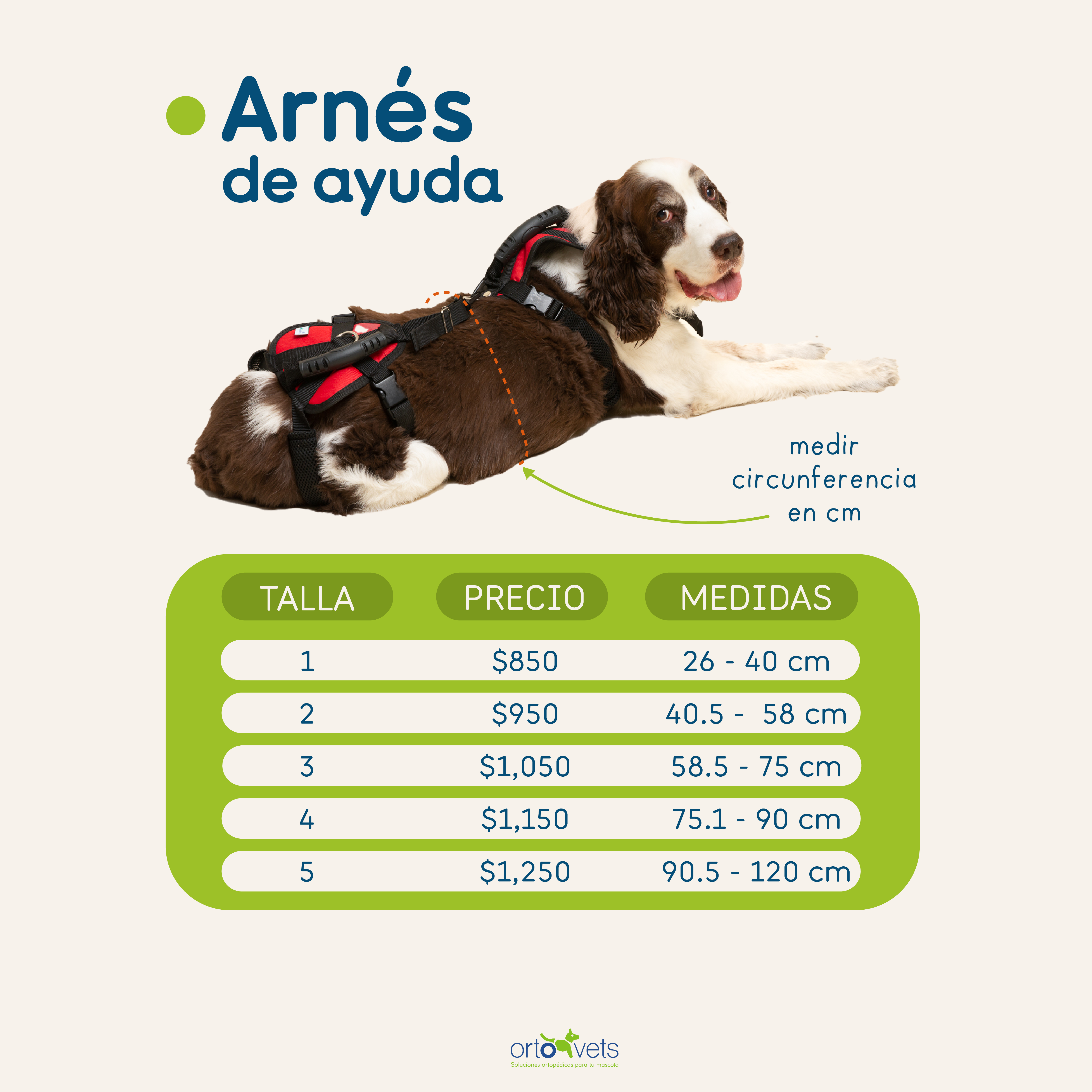 ARNÉS PUB