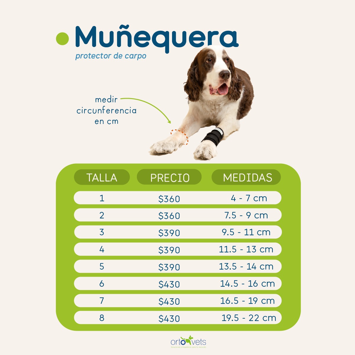 WhatsApp Image 2025-11-21 at 4.31.51 PM(1) WhatsApp Image 2025-11-21 at 4.31.51 PM(1)